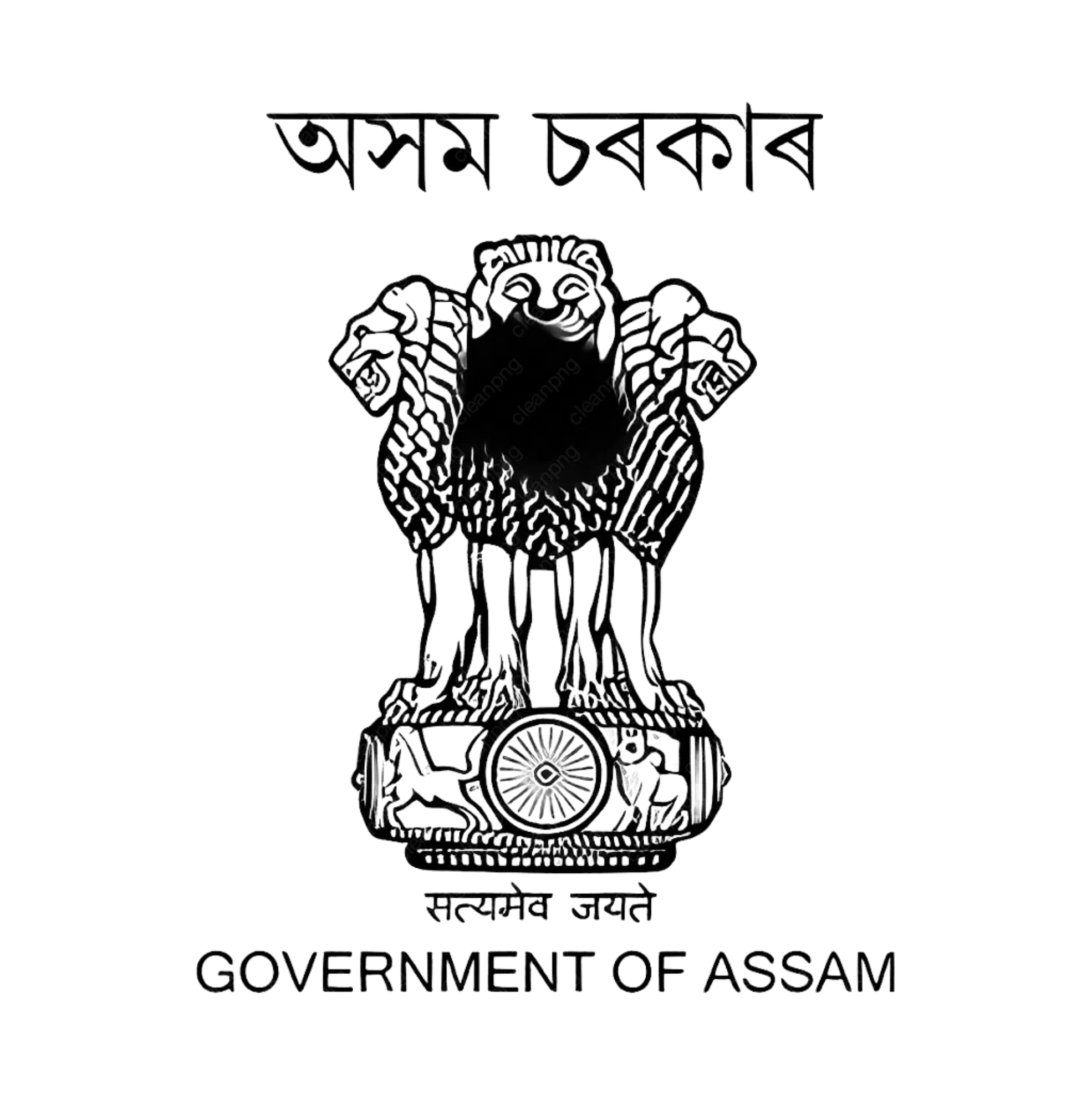 Government of Assam